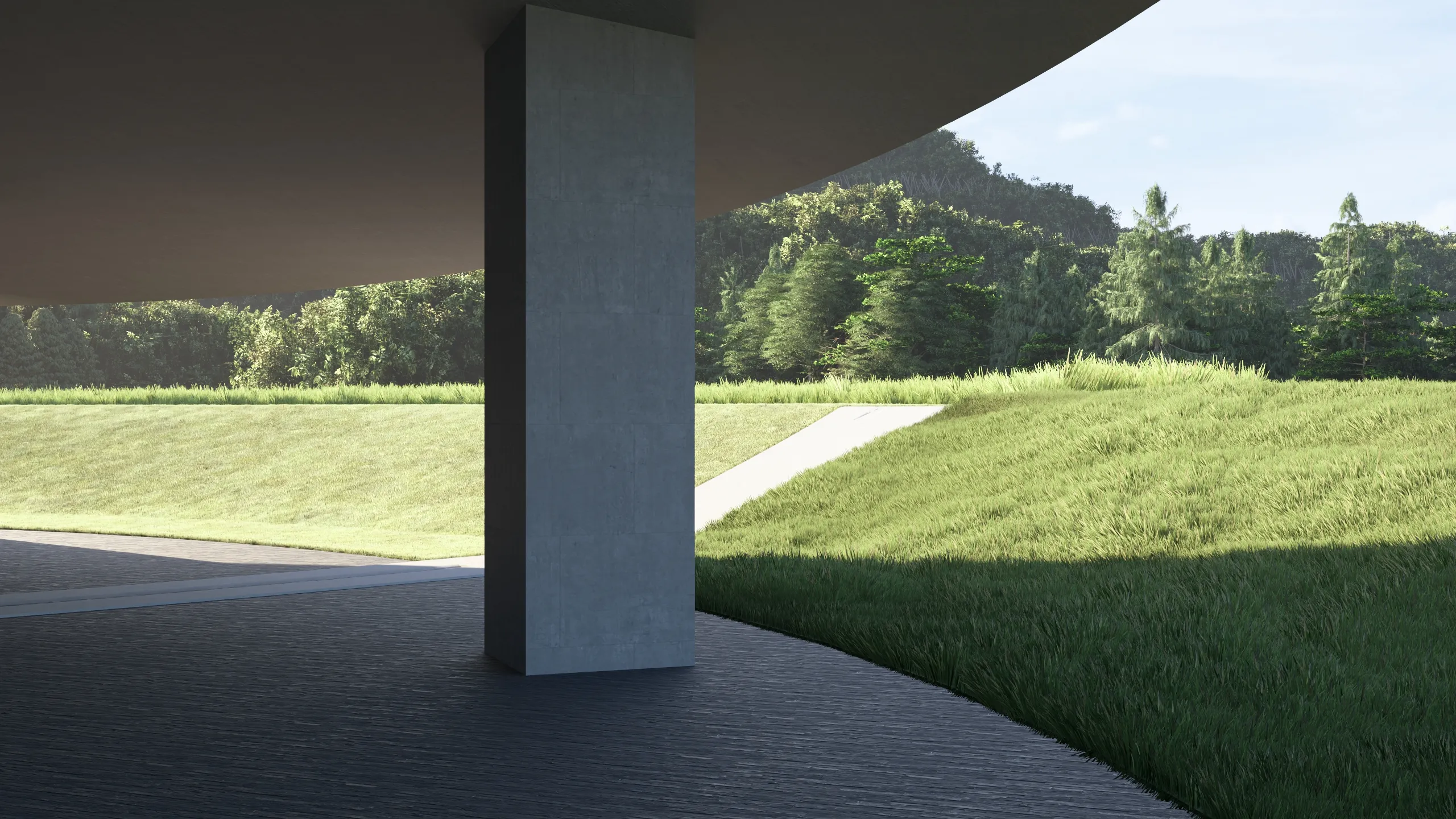 5_250524_25 - フォト