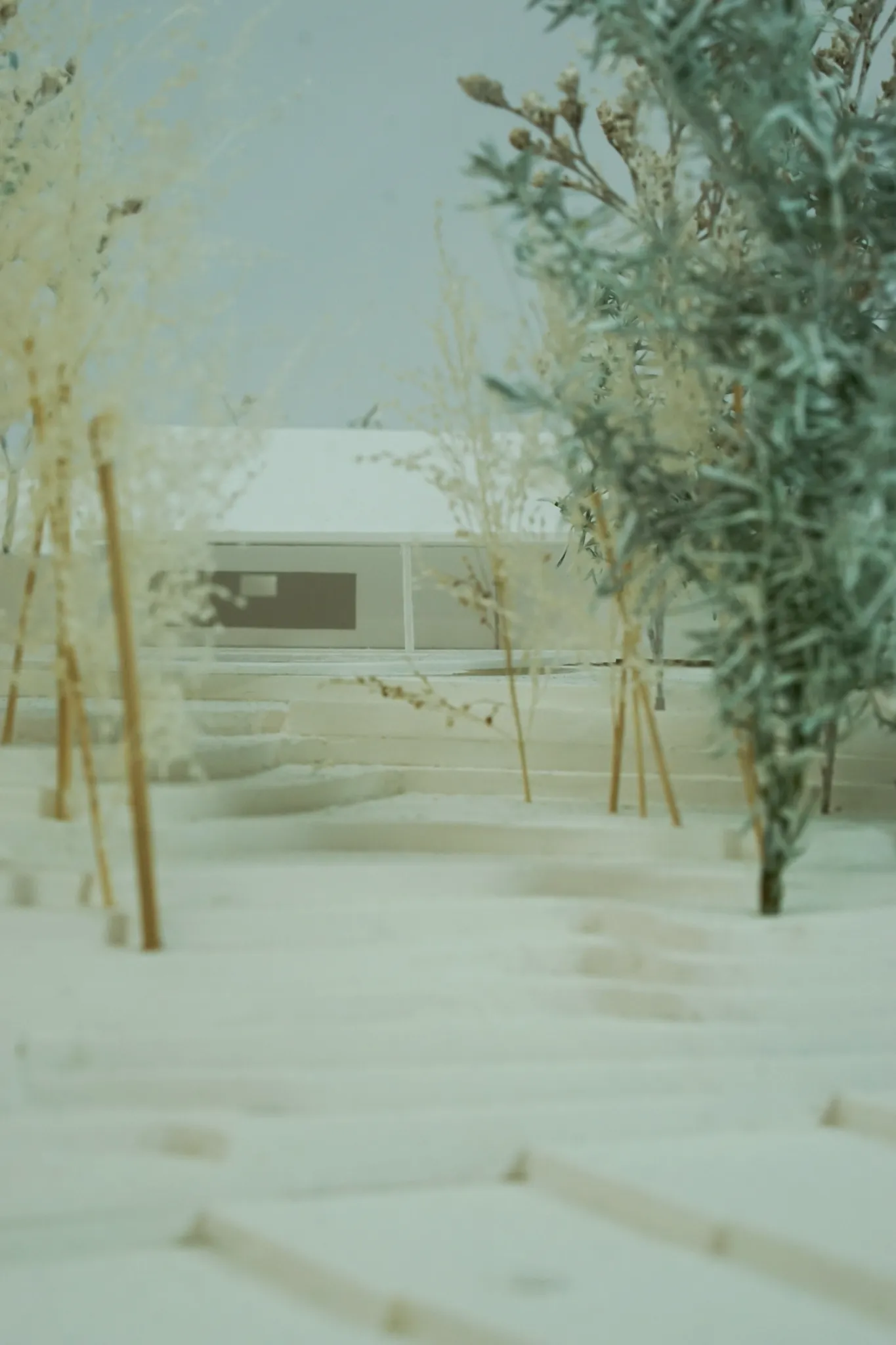 LINE_ALBUM_2025.12.10_251210_7